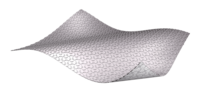 ARDEX FLEXBONE