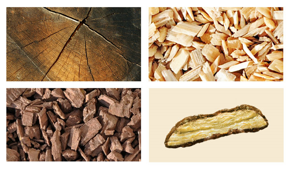 In vier Schritten vom Stammholz zum mineralisierten Holzspan